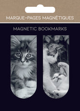 MARCAPAGINAS MAGNETICOS CHATONS GATOS | 1 UNIDADES | (PICTURA)